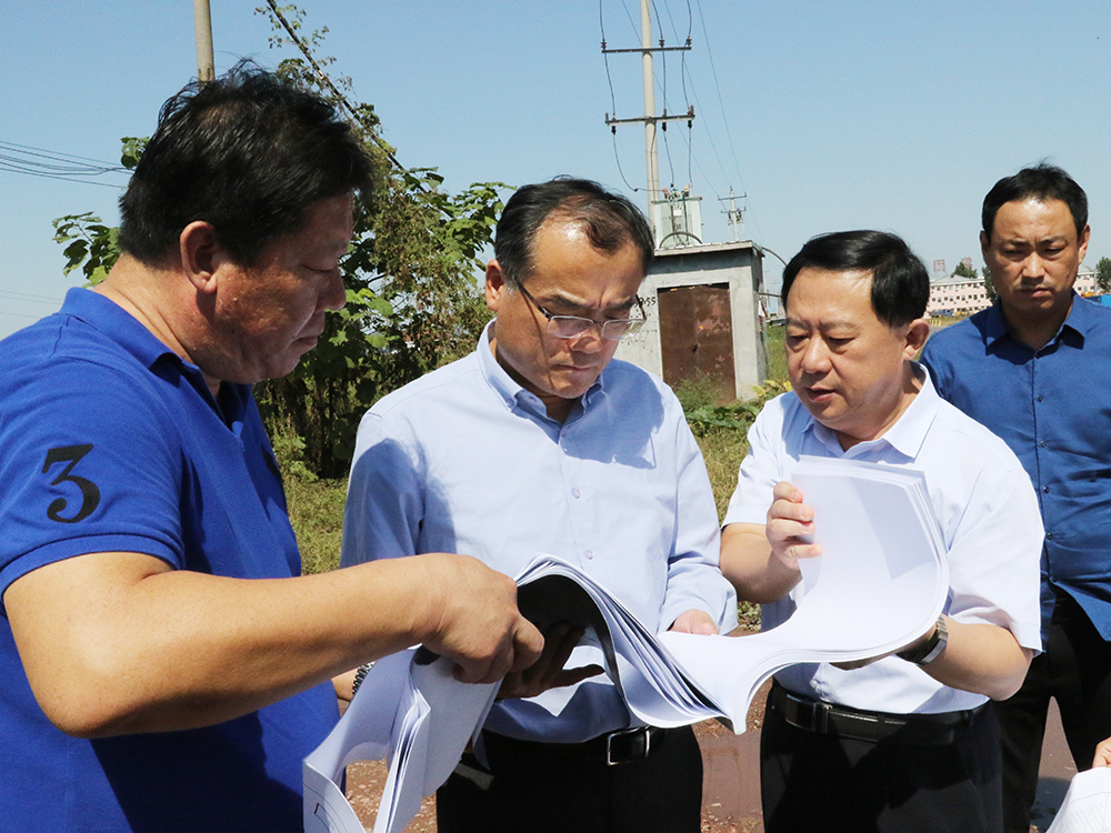 県令LuMingtaoがXingfuTownを訪れ、主要プロジェクトの建設を調査しました。
